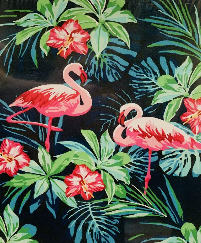 Картина для малювання за номерами  40*50 см. в картон. короб. пенз. фарби. арт. VR25114, VGR