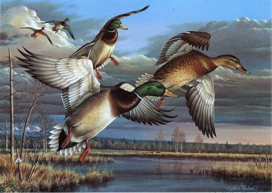 Картина для малювання за номерами  40*50 см. в картон. короб. пенз. фарби. арт. VR25450, VGR