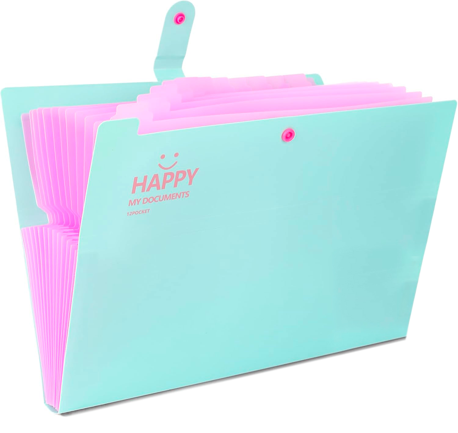 Папка пластикова на 12 відділень; на кнопці; з розширенням; А4; колір м`ятний; арт. KL10532-4; KLERK